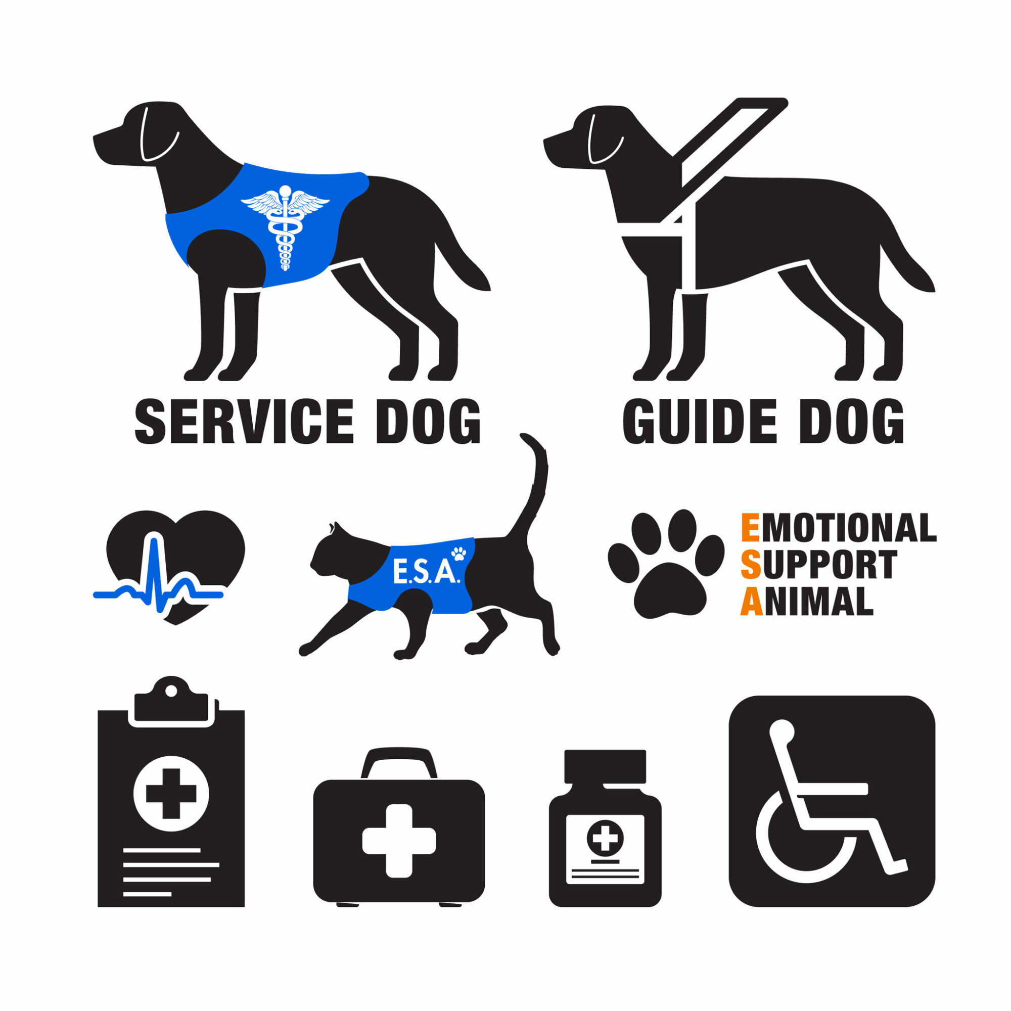 Homeowner Associations and Service Animals in Common Areas Part 2: FHA Considerations